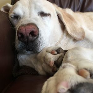 Meet your Posher, Sheenz